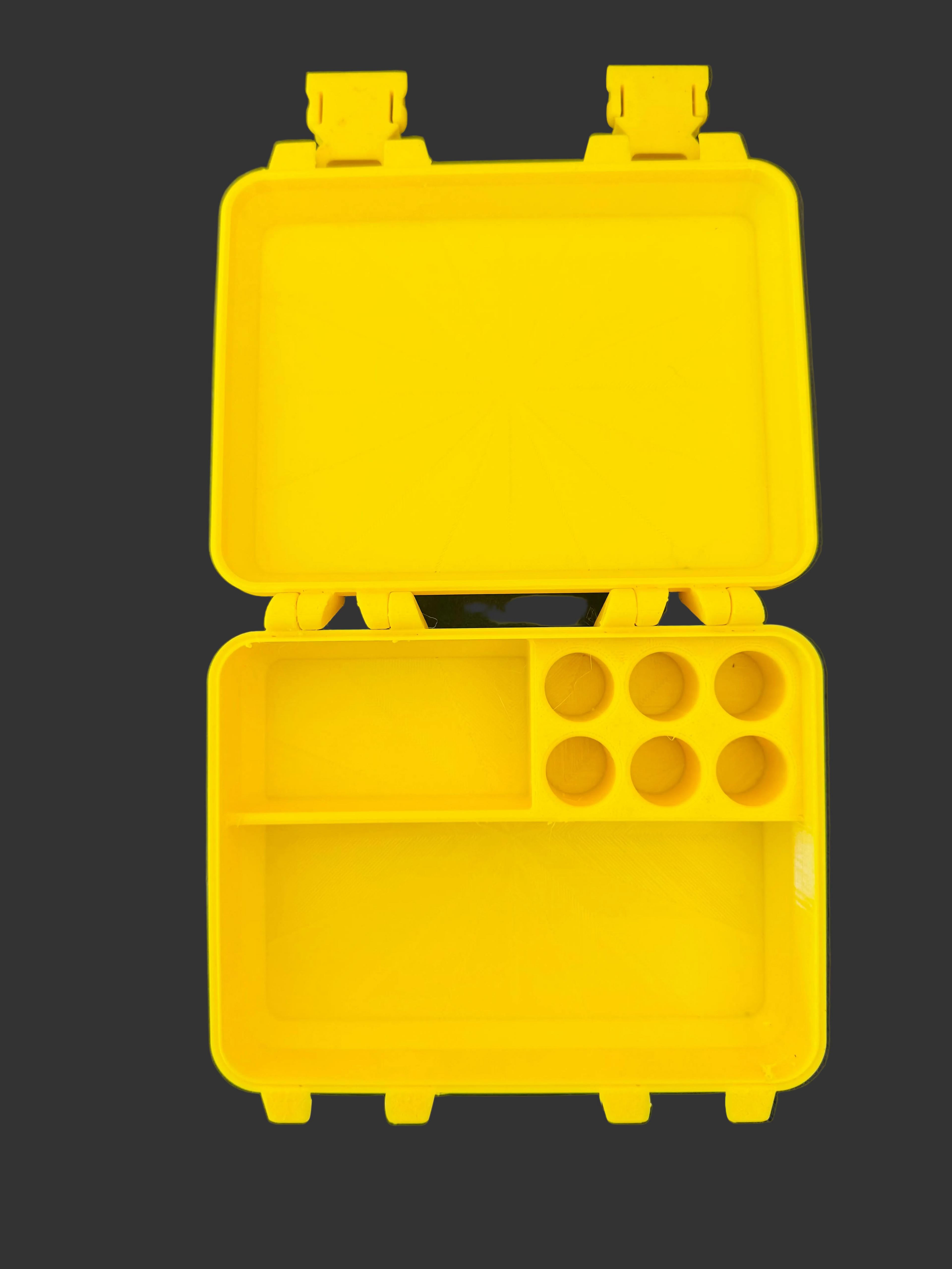 Vial Storage Case